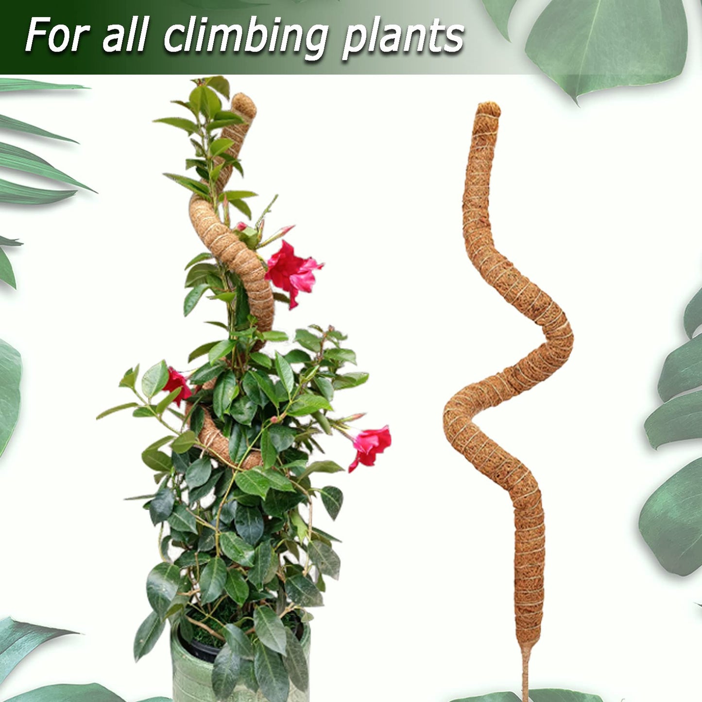 2 Pack Moss Pole, 28 Inch Bendable Moss Pole for Plants Monstera, Moss Poles for Climbing Plants Indoor, Coir Plant Pole Sticks Support Stakes for Potted Plant, Pothos, Philodendron